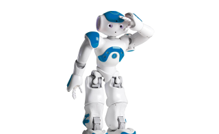 Roboter Nao